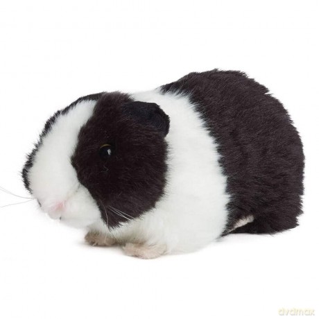 Living Nature Soft Toy - Plush Pet Guinea Pig with Sound, One Supplied (20cm), Brown