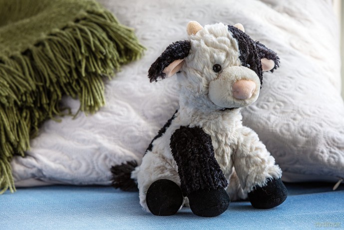 Mary Meyer 55160 Putty Stuffed Animal Soft Toy, Clover Cow, 23-Centimetres