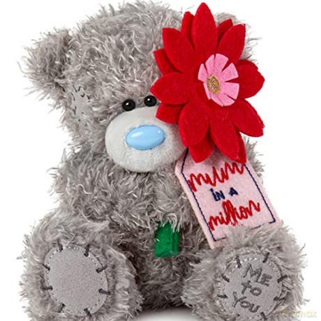 Me To You Bear 7" Mum In A Million Flower AP701114 Me To You Plush, Grey, Medium