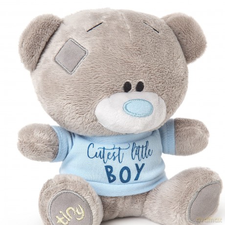 Me to You Tiny Tatty Teddy Cutest Little Boy Baby Bear, Blue,grey