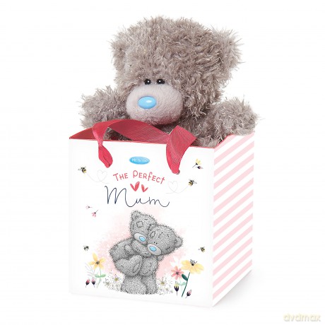 Perfect Mum Bear In Bag