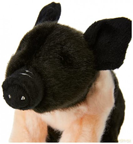 Piglet Soft Toy [Colour May Vary]