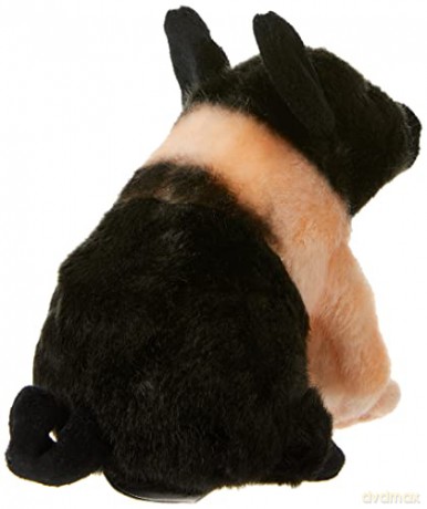 Piglet Soft Toy [Colour May Vary]