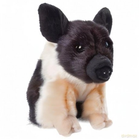 Piglet Soft Toy [Colour May Vary]