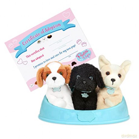 Pucci Pups ADOPT-A