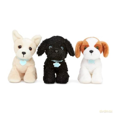 Pucci Pups ADOPT-A