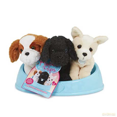 Pucci Pups ADOPT-A