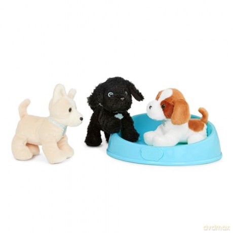 Pucci Pups ADOPT-A