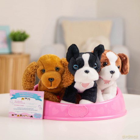 Pucci Pups ADOPT-A