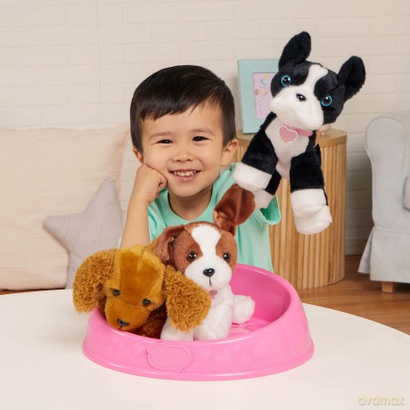 Pucci Pups ADOPT-A
