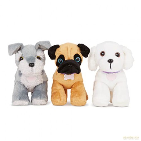 Pucci Pups ADOPT-A
