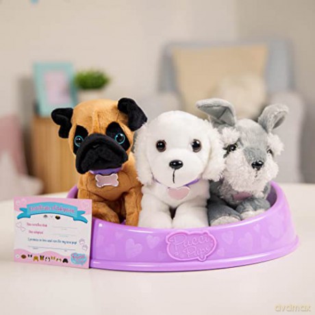 Pucci Pups ADOPT-A