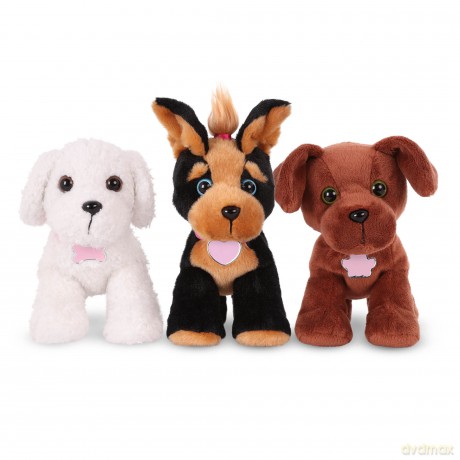 Pucci Pups ADOPT-A