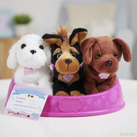 Pucci Pups ADOPT-A