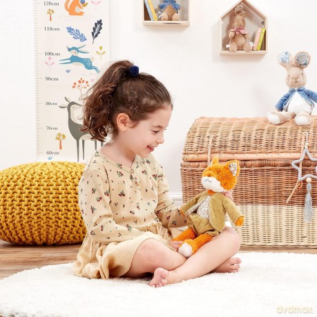 Rainbow Designs Mr Tod Fox Soft Plush Fox Teddy Toy - Cuddly Stuffed Toy from Peter Rabbit Signature Collection - Toy Gifts for Boys and Girls