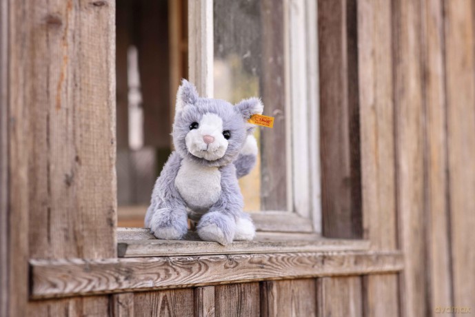 Steiff - 067051 - Soft Cuddly Friends - Cassie Cat - 26cm, Angel Falls