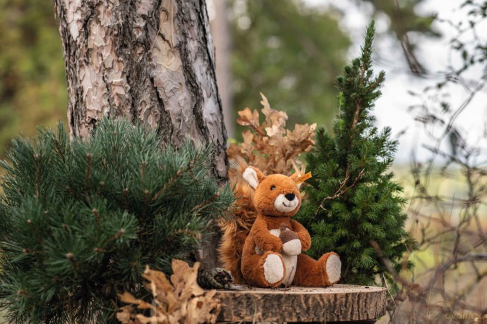 Steiff 045172 Phil squirrel 20 russet, Glazed Ginger