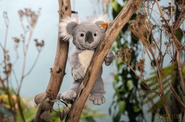 Steiff 067587 Nils koala 30 blue grey/white