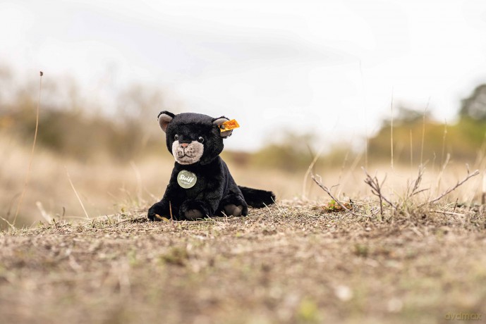 Steiff 067938 Taky baby panther 19 black sitting