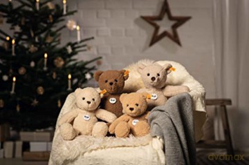 Steiff 113963 Ben Teddy bear 30 beige