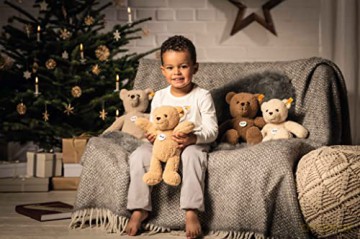Steiff 113963 Ben Teddy bear 30 beige