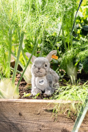 Steiff Dormili Rabbit 21 cm Cuddly Toy Grey Sitting, Gray Violet (067488)