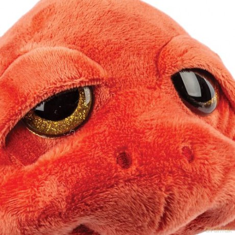 Suki Gifts International - Medium Marnie Turtle (14632), Coral