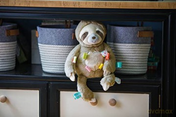 Taggies Stuffed Animal Soft Toy Molasses Sloth, Multicolour