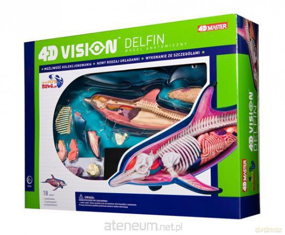 Anatomia zwierząt - Delfin [KSIĄŻKA]