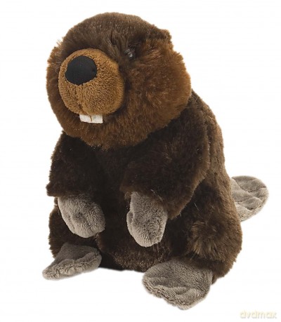 Wild Republic 10854 Beaver Plush, Cuddlekins Cuddly Soft Toys, Kids Gifts, 20 cm Mini