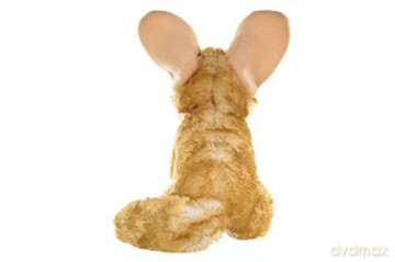 Wild Republic 11507 Fennec Fox Plush Soft, Cuddlekins Cuddly Toys, Gifts for Kids, Brown,30 cm