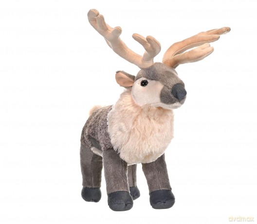 Wild Republic 17700 Plush Reindeer Soft, Cuddlekins Cuddly Toys, for 0 years to 99 years, Gifts for Kids 30 cm, Brown/White