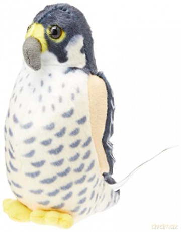 Wild Republic 19598 Faucon pelerin, animal en Pluszak avec son, cadeaux pour enfants, 13 cm Peregrine Falcon with Authentic Bird Sound, Soft Toy for Kids, 13cm, Blue-White
