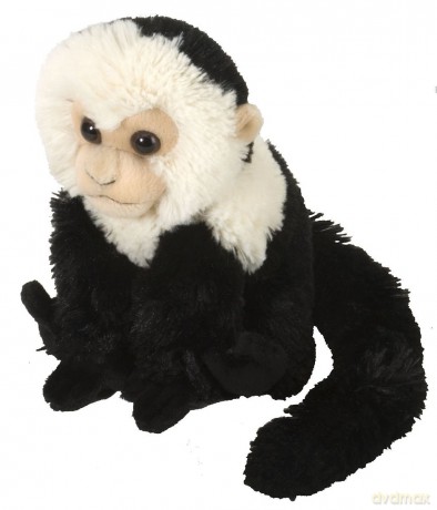 Wild Republic Capuchin Plush, Stuffed Animal, Plush Toy, Gifts for Kids, Cuddlekins 8 Inches