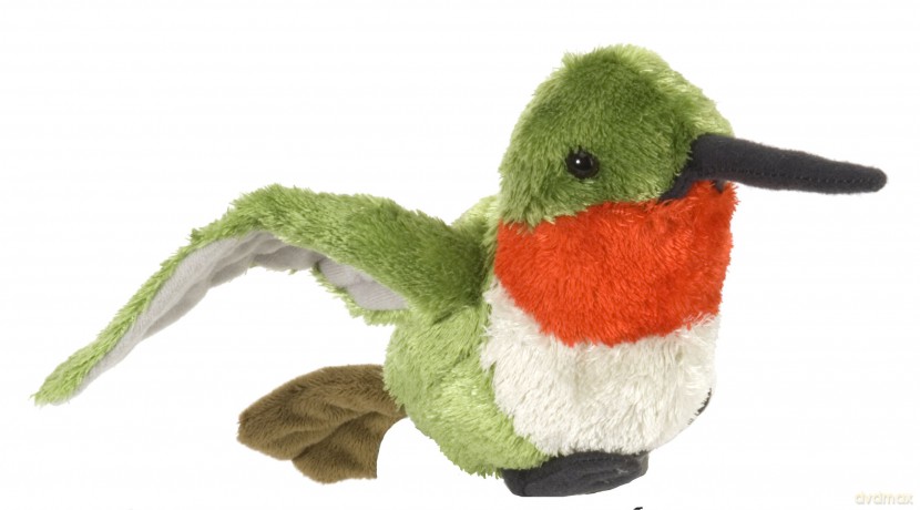 Wild Republic Hummingbird, Cuddlekins Mini, Stuffed Animal, 8 Inches, Gift for Kids, Plush Toy, Fill is Spun Recycled Water Bottles