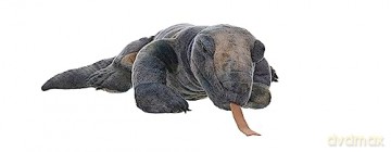 Wild Republic Komodo Dragon Plush, Stuffed Animal, Plush Toy, Gifts for Kids, Cuddlekins 12 Inches