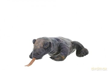 Wild Republic Komodo Dragon Plush, Stuffed Animal, Plush Toy, Gifts for Kids, Cuddlekins 12 Inches
