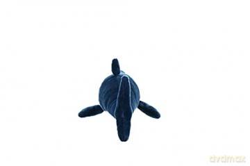 Wild Republic Mako Shark Plush, Stuffed Animal Toy, Gifts for Kids, 21 Inches, Cuddlekins