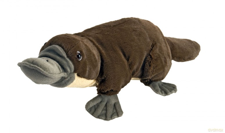 Wild Republic Platypus Plush, Stuffed Animal, Plush Toy, Gifts for Kids, Cuddlekins 12" (13459)