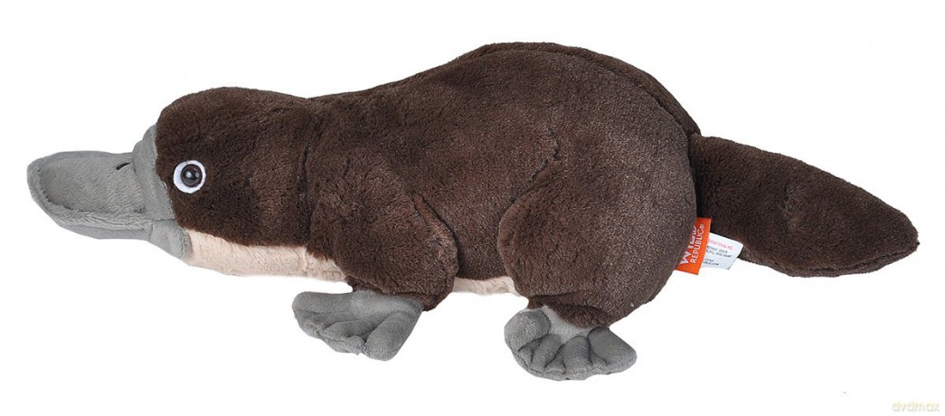 Wild Republic Platypus Plush, Stuffed Animal, Plush Toy, Gifts for Kids, Cuddlekins 12" (13459)