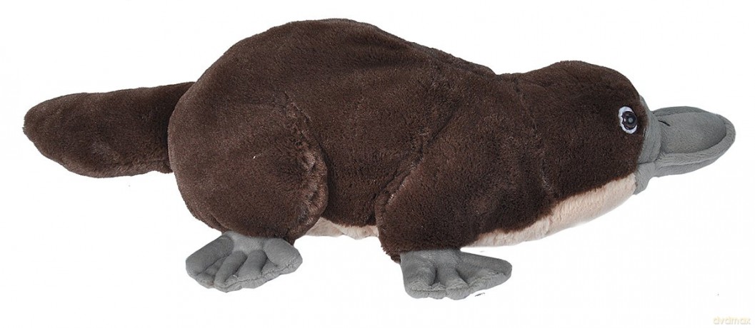 Wild Republic Platypus Plush, Stuffed Animal, Plush Toy, Gifts for Kids, Cuddlekins 12" (13459)