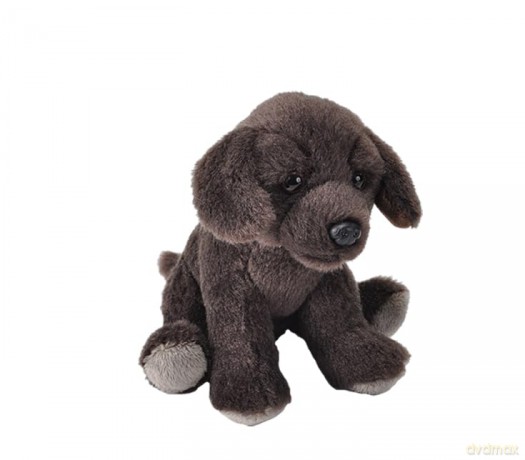 Wild Republic Pocketkins Eco Chocolate Labrador, Stuffed Animal, 5 Inches, Plush Toy, Made from Recycled Materials, Eco Friendly
