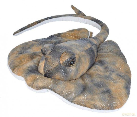 Wild Republic Southern Ray Plush Soft Toy, Cuddlekins Cuddly Toys, Gifts for Kids,Beige/Blue, 30 cm