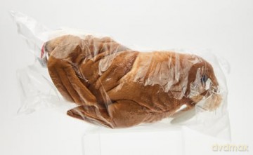 Wild Republic Walrus Plush Soft Toy, Cuddlekins Cuddly Toys, Gifts for Kids,Brown,20 cm