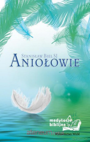 Aniołowie. Medytacje biblij [KSIĄŻKA]