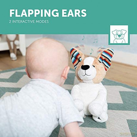 ZAZU Danny The Dog Plushie - Peekaboo Interactive Soft Toy for Babies and Toddlers | Keep your little one entertained by singing or playing | Plush Toy with Music and Wiggle Ears | 2 Interactive Modes