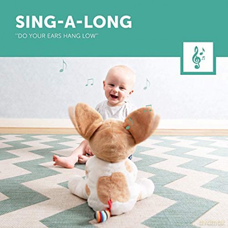 ZAZU Danny The Dog Plushie - Peekaboo Interactive Soft Toy for Babies and Toddlers | Keep your little one entertained by singing or playing | Plush Toy with Music and Wiggle Ears | 2 Interactive Modes