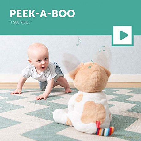 ZAZU Danny The Dog Plushie - Peekaboo Interactive Soft Toy for Babies and Toddlers | Keep your little one entertained by singing or playing | Plush Toy with Music and Wiggle Ears | 2 Interactive Modes