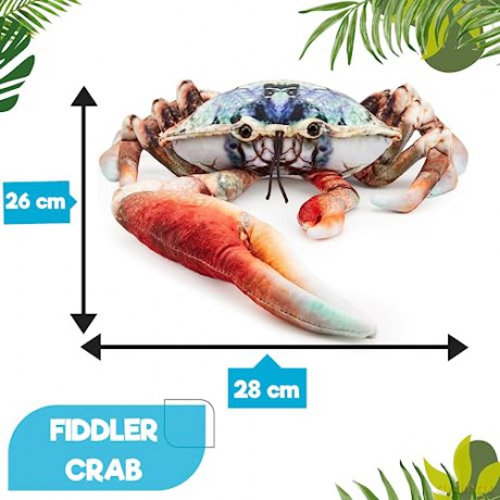 Zappi Co - Childrens Realistic Soft Cuddly Plush Toy Animal - Perfect Playtime Companions for Children with Lifelike Detail featured Tiktok (28cm Length) (Blue Fiddler Crab)