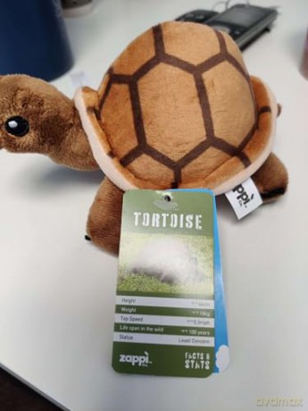 Zappi Co Childrens Soft Cuddly Plush Toy Animal - Perfect Perfect Soft Snuggly Playtime Companions for Children (12-15cm /5-6") (Turtle)